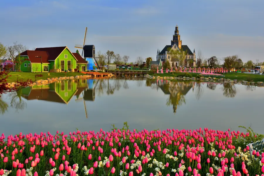 Dutch Flower Sea