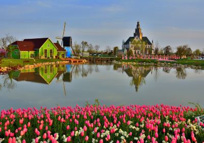 Dutch Flower Sea