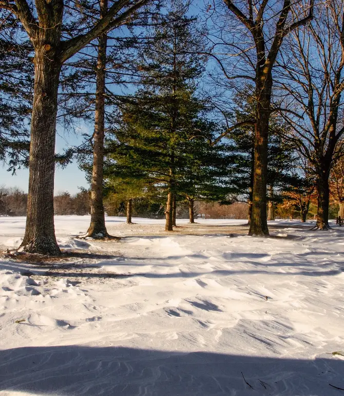 East Meadow
