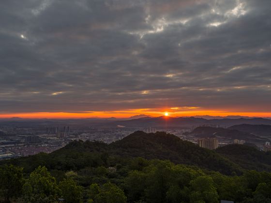 Jinshan Forest Park