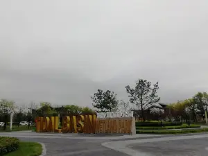 Tidal Lake Wetland Park