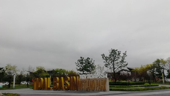 潮汐湖濕地公園