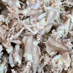 舌尖上de海鮮館（總店）張用戶圖片