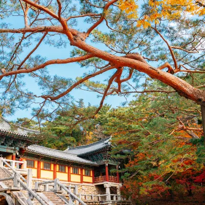 포항 후쿠오카 항공권 예약