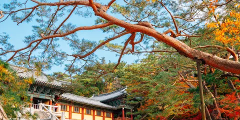 佛國寺