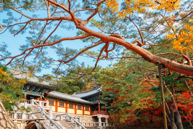 Hotels near Hwangnyongsa Temple Site