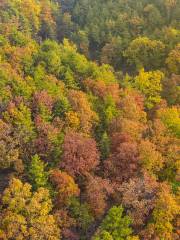 Liuliping National Forest Park