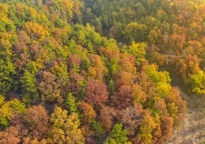 Liuliping National Forest Park