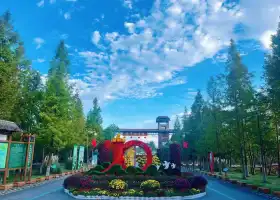 Sihong Hongze Lake Wetland