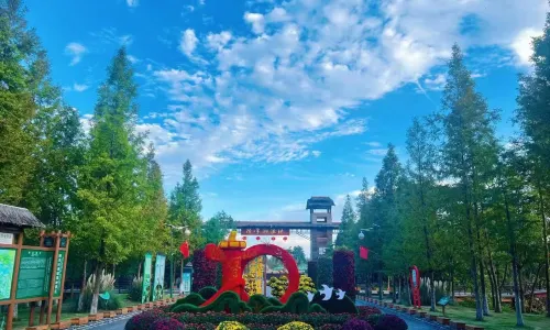 Sihong Hongze Lake Wetland