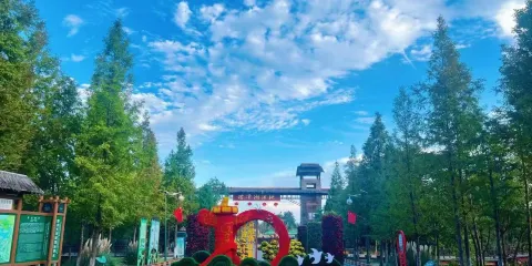 泗洪洪澤湖濕地