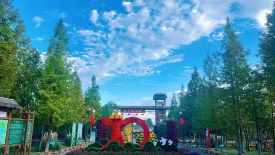 玩水避暑