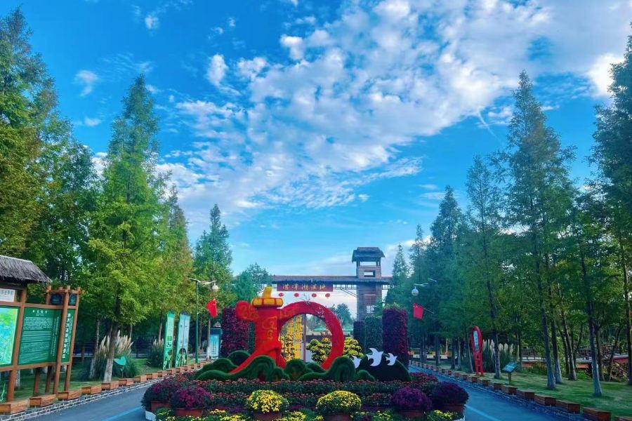 泗洪洪澤湖濕地