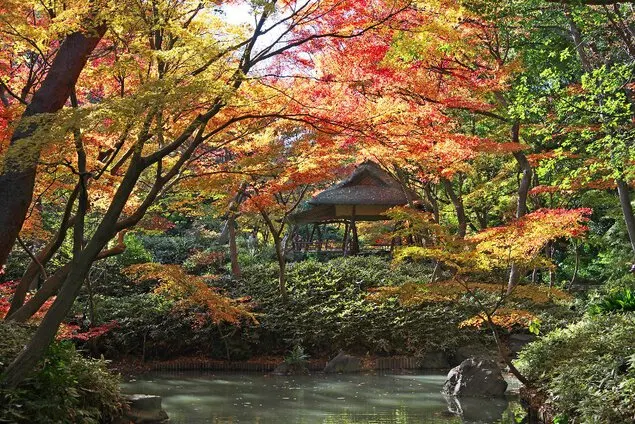 도쿄여행