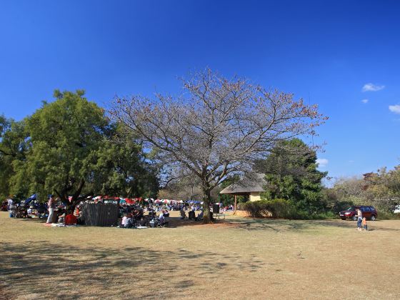 Pretoria National Botanical Gardens