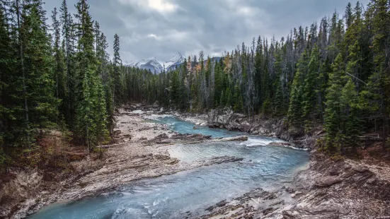 Kicking Horse River