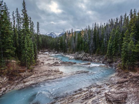 Kicking Horse River