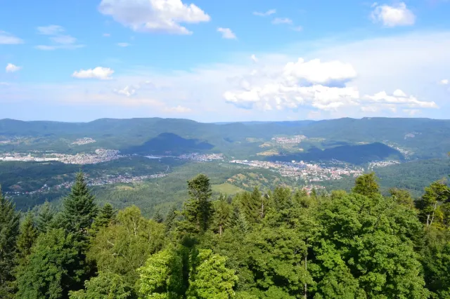 The forests of Baden-Baden