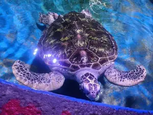 Xuchang Aquarium