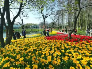 Nanjing Botanical Garden Mem. Sun Yat-sen