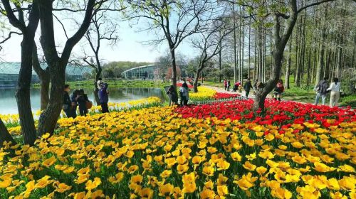 南京中山植物園