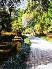 Wanchun Garden