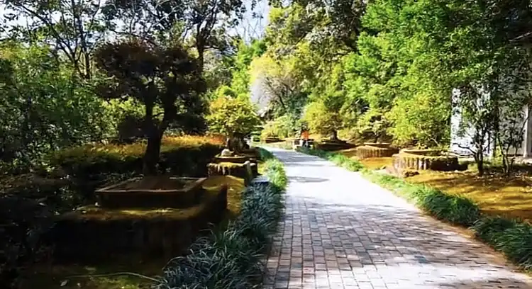 Hotels near Wanchun Garden