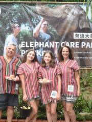 Elephant Care Park Phuket