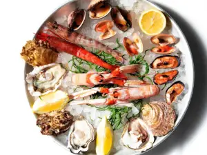 Oyster Barba