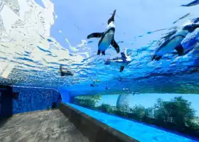 陽光水族館