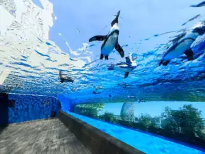 サンシャイン水族館