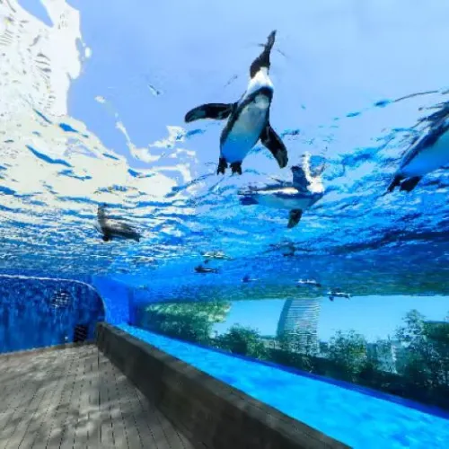 Sunshine Aquarium