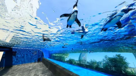 サンシャイン水族館