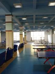 體校乒乓球館