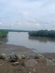 Caiqiao Mangrove Nature Reserve