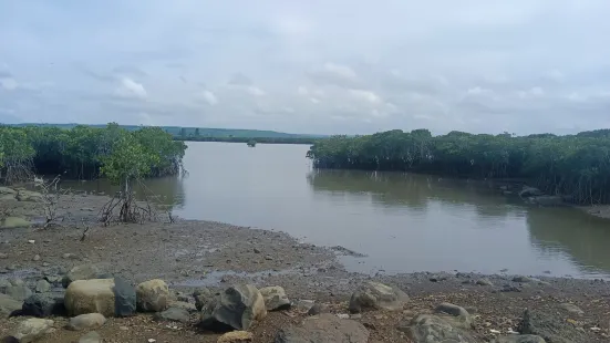 Caiqiao Mangrove Nature Reserve