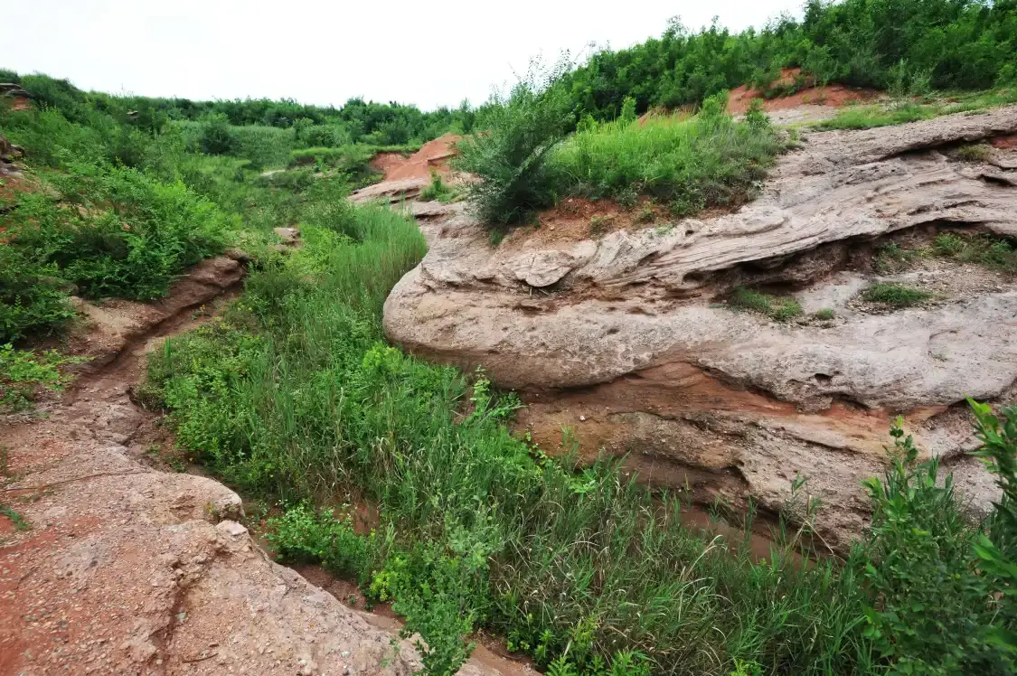 恐龍化石產地附近的飯店