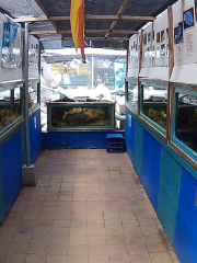 Aquasearch Aquarium