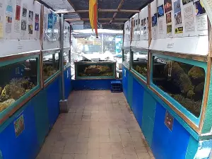 Aquasearch Aquarium
