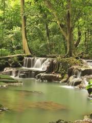 Parc national de Bia