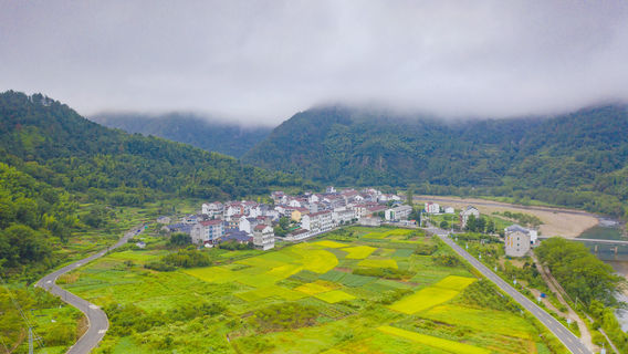 Danzhu Primeval Forest Scenic Area