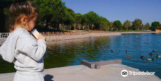 Parque de la alhondiga