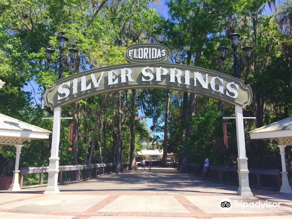 Hotels near Silver Springs State Park