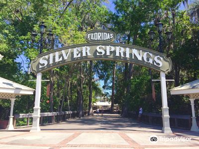 Silver Springs State Park