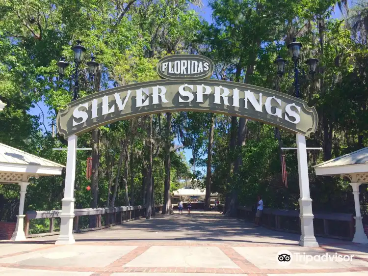 فنادق في Silver Springs