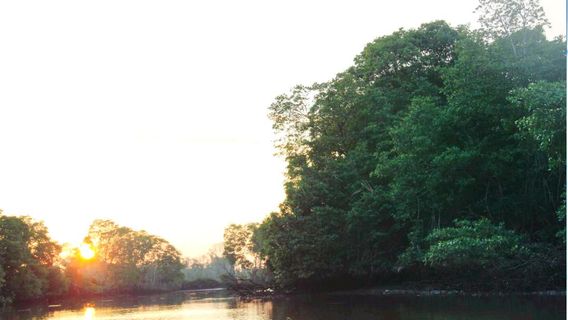 BRUNEI BAY EXTRAVAGANZA