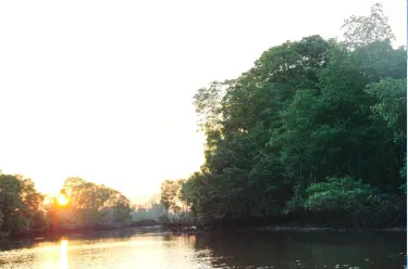 BRUNEI BAY EXTRAVAGANZA