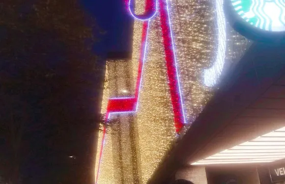 Salling Aalborg