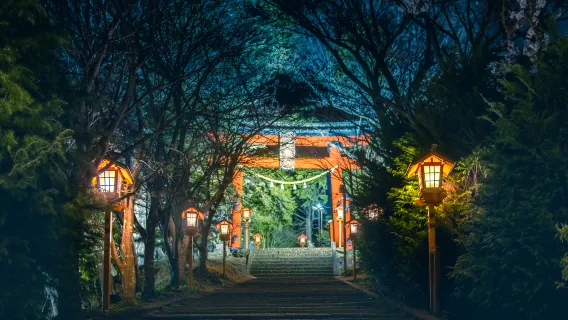 1-day tour of Hakone and Kamakura in Japan: Owakudani, Lake Ashi Torii, and Enoshima|Departing from Tokyo