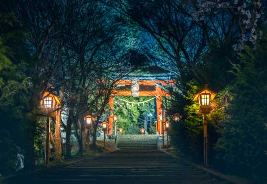 1-day tour of Hakone and Kamakura in Japan: Owakudani, Lake Ashi Torii, and Enoshima|Departing from Tokyo